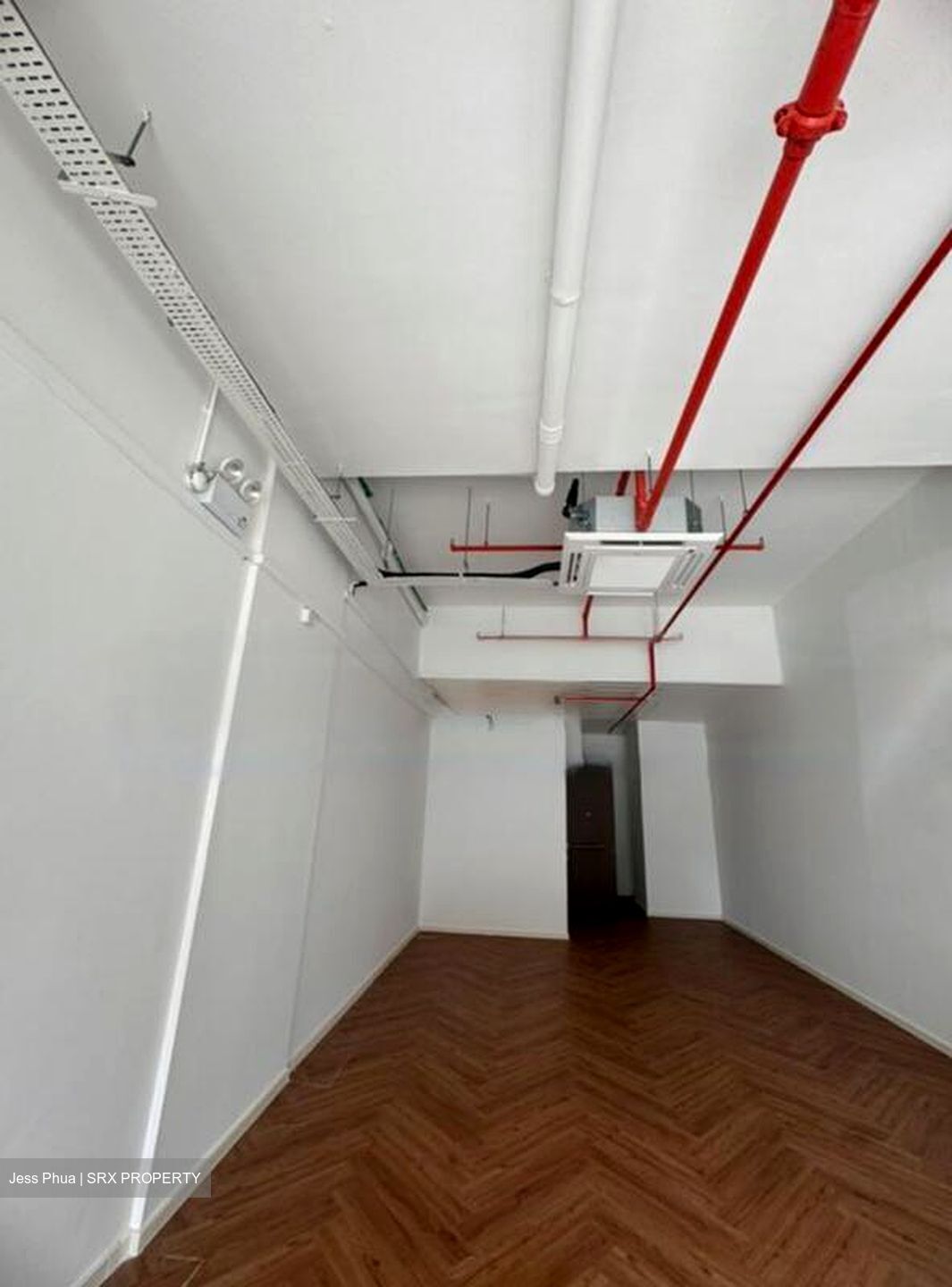 Sycamore Tree (D15), Retail #486529981